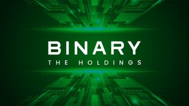 bnry's-hypergrowth:-on-chain-metrics-reveal-unprecedented-wallet-and-transaction-surge
