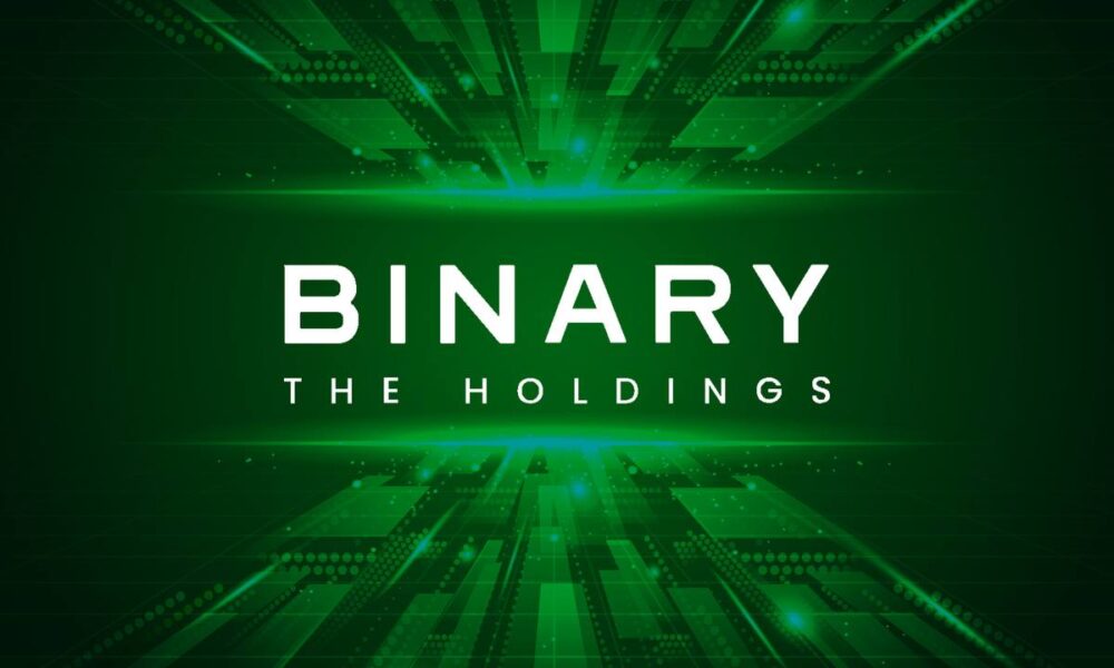bnry's-hypergrowth:-on-chain-metrics-reveal-unprecedented-wallet-and-transaction-surge